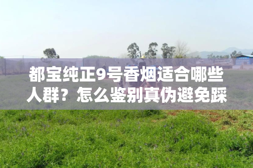 都宝纯正9号香烟适合哪些人群？怎么鉴别真伪避免踩坑？